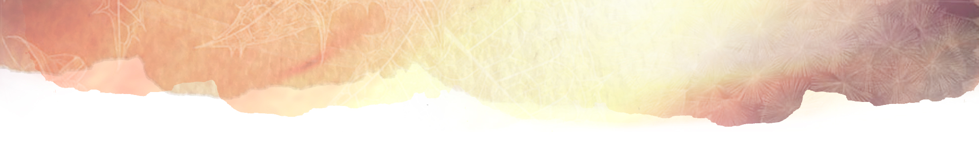 Header-short